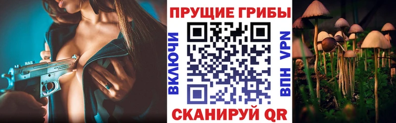 Галлюциногенные грибы Magic Shrooms  как найти закладки  KRAKEN ссылка  Сковородино 