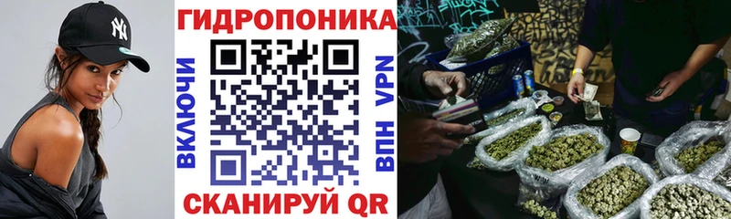 продажа наркотиков  Сковородино  Каннабис THC 21% 